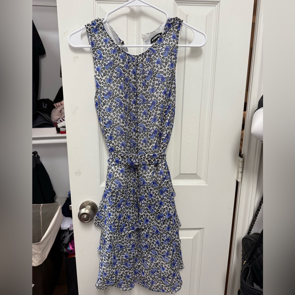 Express Blue and White Floral Backless Dress